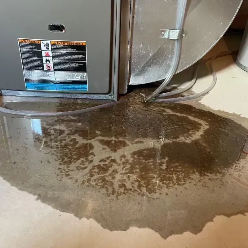 Appliance Leak Cleanup in Lebanon, KY